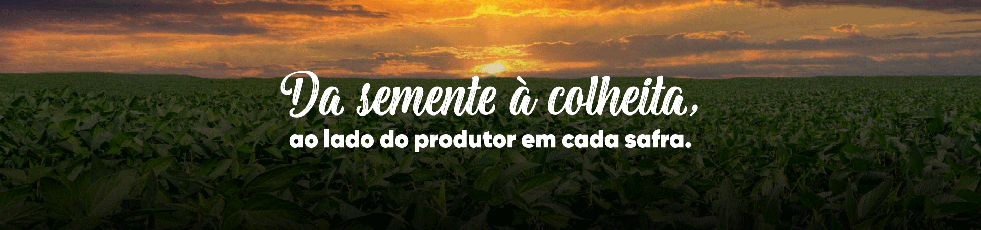 Agronegócio - Trator