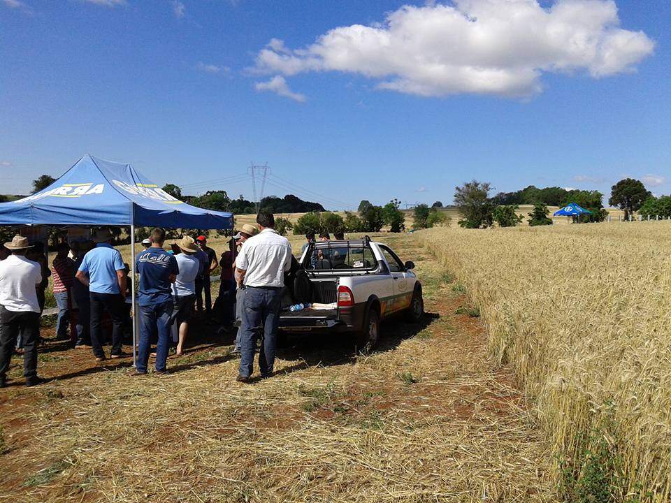 Dia de campo 
