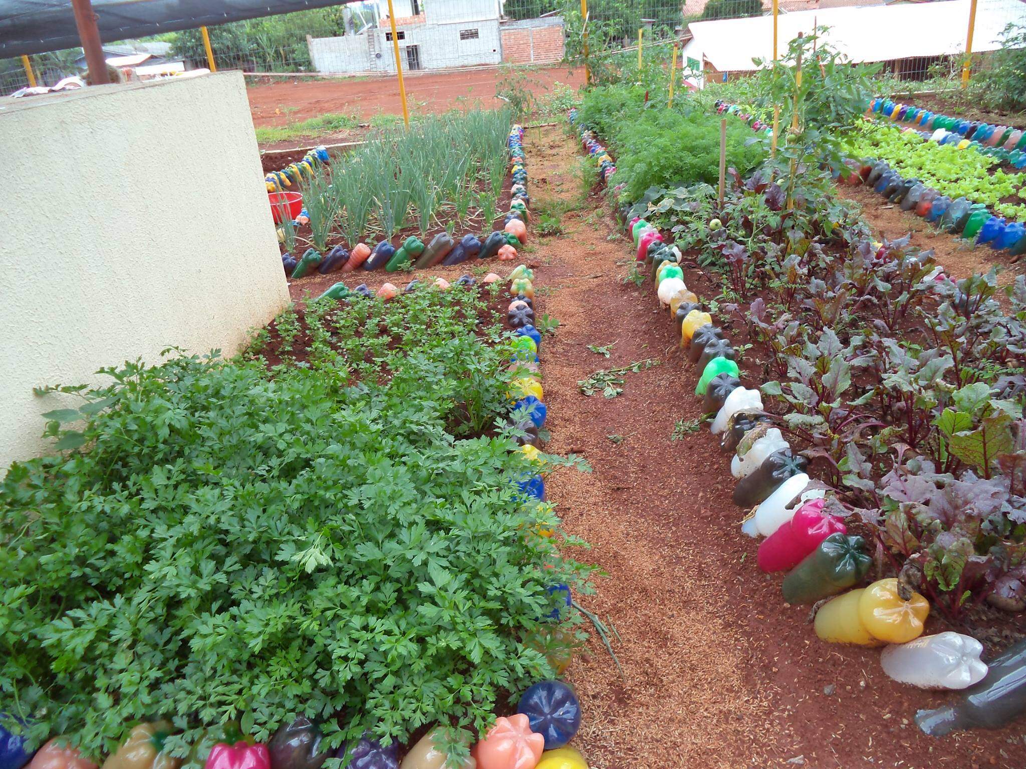 Projeto Sustentável