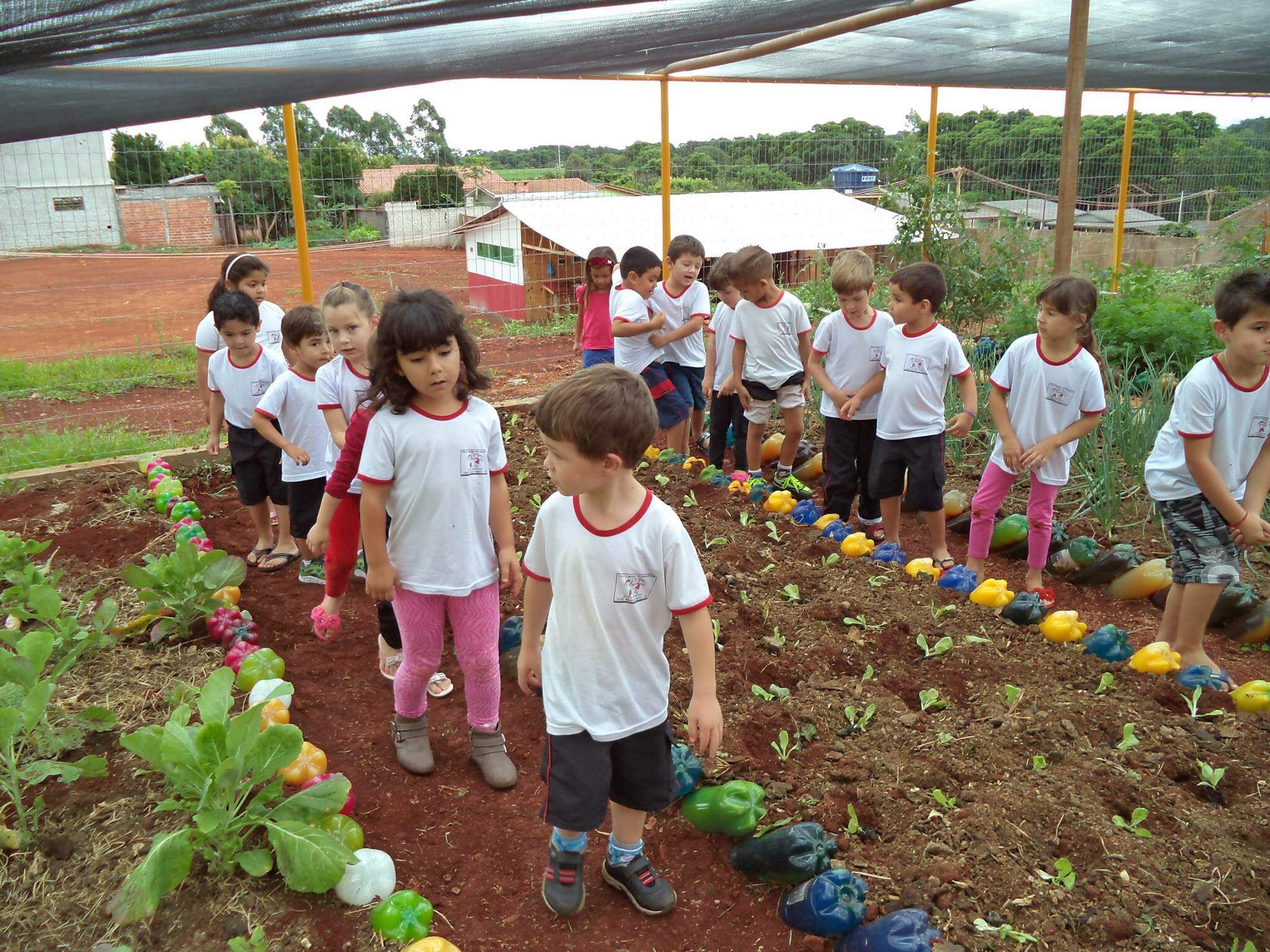 Projeto Sustentável