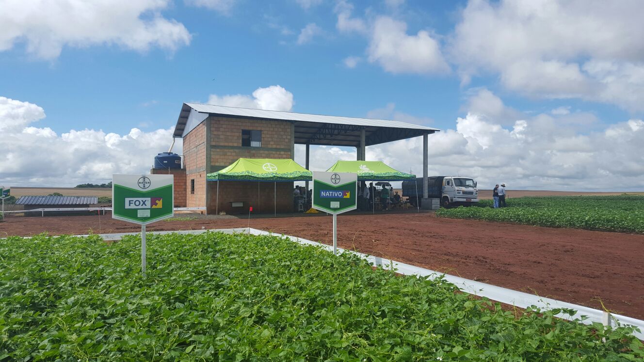 Treinamento - CTB Bayer  - Renascença/PE