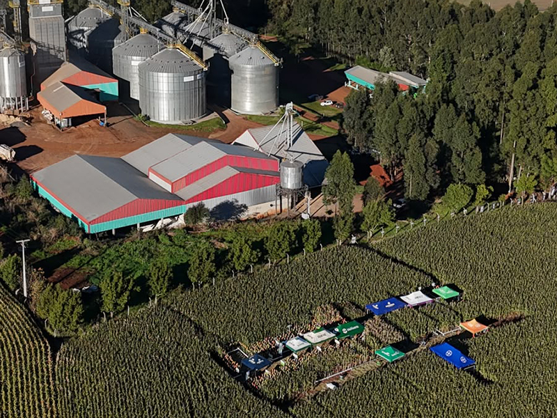 Dia de Campo Fistarol reúne produtores e parceiros para um dia de conhecimento